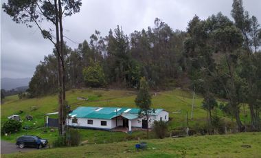 VENDO FINCA 52 FANEGADAS CARMEN DE CARUPA