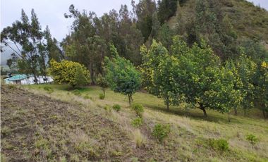 VENDO FINCA 52 FANEGADAS CARMEN DE CARUPA