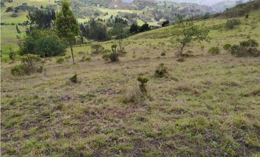 VENDO FINCA 52 FANEGADAS CARMEN DE CARUPA