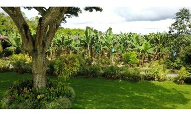 VENTA CASA CAMPESTRE Y FINCA MONTENEGRO QUINDIO