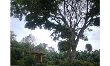 VENTA CASA CAMPESTRE Y FINCA MONTENEGRO QUINDIO