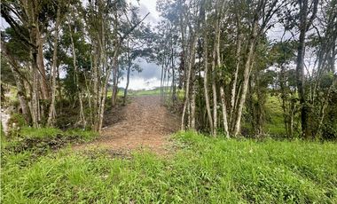 Venta De Lote En La Ceja