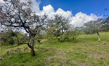 Venta De Lote En La Ceja