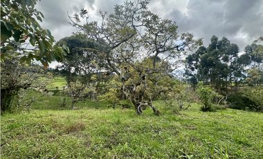 Venta De Lote En La Ceja