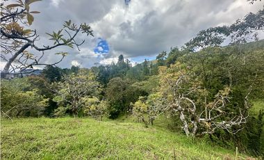 Venta De Lote En La Ceja