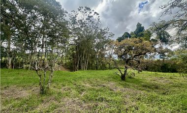 Venta De Lote En La Ceja