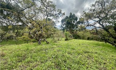 Venta De Lote En La Ceja