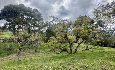 Venta De Lote En La Ceja