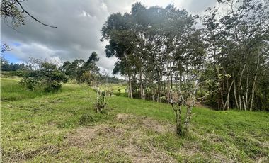 Venta De Lote En La Ceja