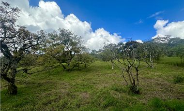 Venta De Lote En La Ceja