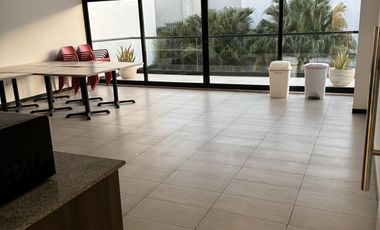 Oficina en Renta, Armoran One