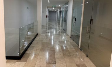 Oficina en Renta, Armoran One