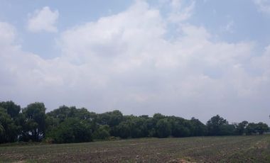 RENTA DE TERRENO EN METEPEC, EDOMEX