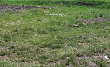 RENTA DE TERRENO EN METEPEC, EDOMEX