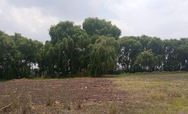 RENTA DE TERRENO EN METEPEC, EDOMEX