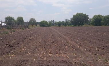 RENTA DE TERRENO EN METEPEC, EDOMEX