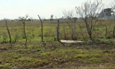 Tecolutla Veracruz Terreno Venta