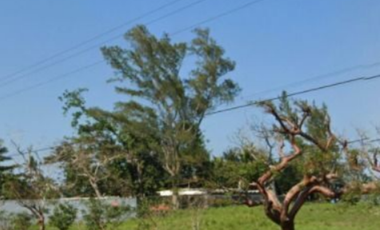 Tecolutla Veracruz Terreno Venta