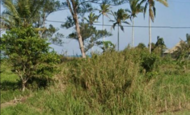 Tecolutla Veracruz Terreno Venta