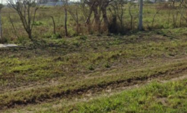 Tecolutla Veracruz Terreno Venta