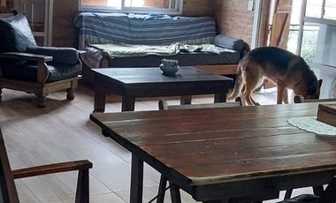 Casa en venta - 3 Dormitorios 2 Baños - Cochera - 800Mts2 - Tristán Suárez