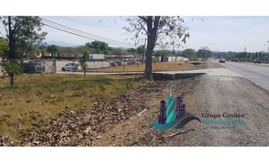 VENTA DE LOTE COMERCIAL EN LA DAVID LA INTERAMERICANA