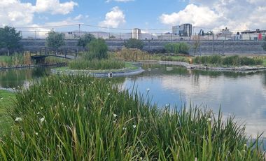 LOTE 15 LAGO BACALAR EN LAGOS RESIDENCIAL PACHUCA