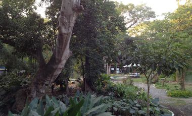 Casa en Venta en el centro de Comala