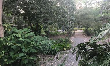 Casa en Venta en el centro de Comala