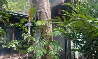 Casa en Venta en el centro de Comala
