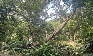Casa en Venta en el centro de Comala