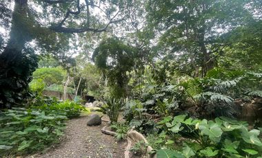 Casa en Venta en el centro de Comala