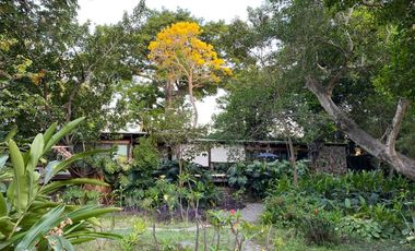 Casa en el centro de Comala