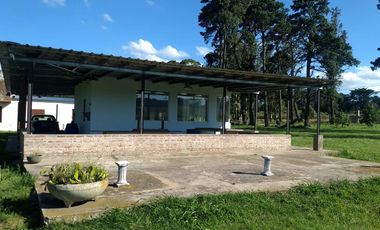 CAMPO EN VENTA PROVINCIA DE BUENOS AIRES RUTA 226