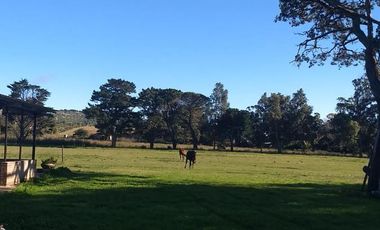 CAMPO EN VENTA PROVINCIA DE BUENOS AIRES RUTA 226