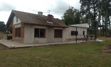 CAMPO EN VENTA PROVINCIA DE BUENOS AIRES RUTA 226