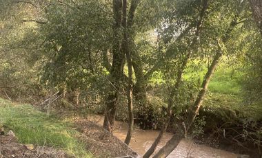 VENTA DE LOTES RESIDENCIALES XINTÉ :CONDADO DE SAYAVEDRA