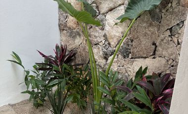 Casa en venta 3 habitaciones en Temozón Norte, Mérida