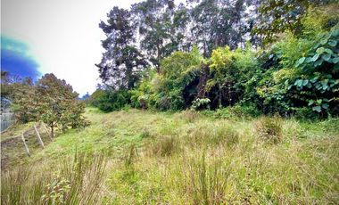 Venta Lote Semi Parcelacion Sector Fizebad (Retiro)