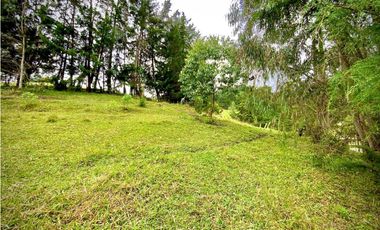 Venta Lote Semi Parcelacion Sector Fizebad (Retiro)