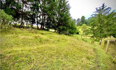 Venta Lote Semi Parcelacion Sector Fizebad (Retiro)