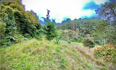 Venta Lote Semi Parcelacion Sector Fizebad (Retiro)