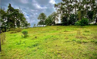 Venta Lote Semi Parcelacion Sector Fizebad (Retiro)