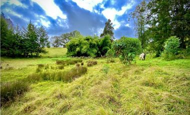 Venta Lote Semi Parcelacion Sector Fizebad (Retiro)