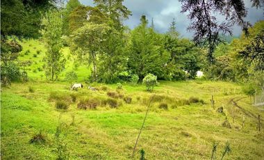 Venta Lote Semi Parcelacion Sector Fizebad (Retiro)