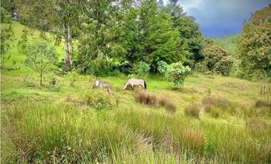 Venta Lote Semi Parcelacion Sector Fizebad (Retiro)