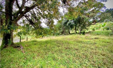 Venta Lote Semi Parcelacion Sector Fizebad (Retiro)