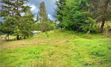 Venta Lote Semi Parcelacion Sector Fizebad (Retiro)