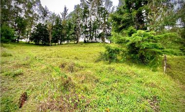 Venta Lote Semi Parcelacion Sector Fizebad (Retiro)