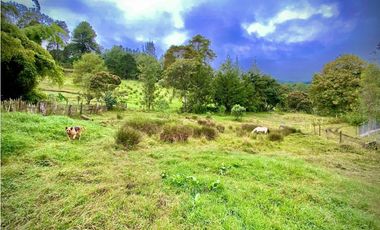 Venta Lote Semi Parcelacion Sector Fizebad (Retiro)